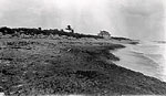 Coquina Outcrop on Shore at Boca Raton, 1927