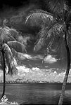 Lake Worth Looking Toward West Palm Beach, 1953