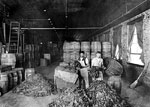 Interior View of a Cigar Factory During Preparation of Filler, Tampa, 1924