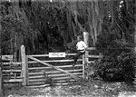 Everett Jones Sitting on Gate to Leigh M. Pearsall's Property, Melrose, 1907