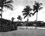 Boca Raton From Golf Course, 194-