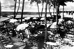 Dining Under Coconut Palms at the Boca Raton Club, 192-