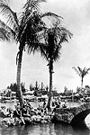 Women at the Venetian Pool, 1924