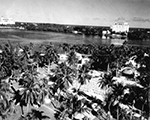 Aerial View Of Lake Worth, 1946