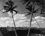 Skyline From Across Lake Worth, 1960