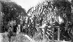 Group Posed on Water Wheel, De Leon Springs, 18--