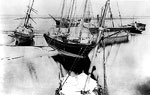 Various Disabled Ships Aground After Hurricane, Dog Island, 1899