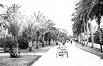 Taking a Ride in a Pedicab, Palm Beach Florida, 1900s